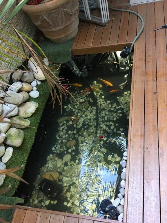 Gordons Guesthouse Fokváros Kültér fotó